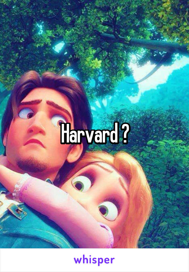 Harvard ?