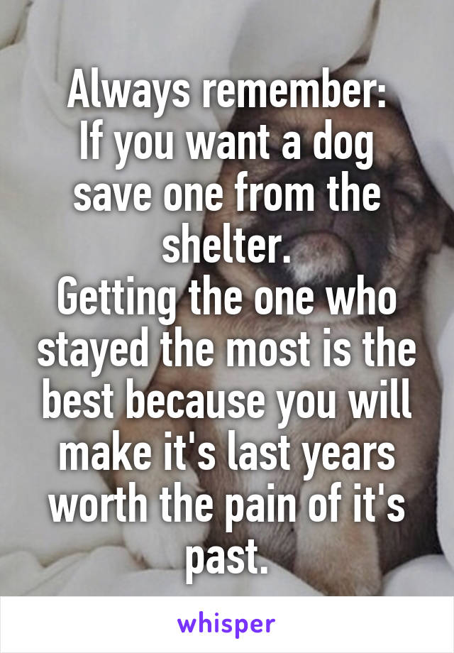 Always remember:
If you want a dog save one from the shelter.
Getting the one who stayed the most is the best because you will make it's last years worth the pain of it's past.