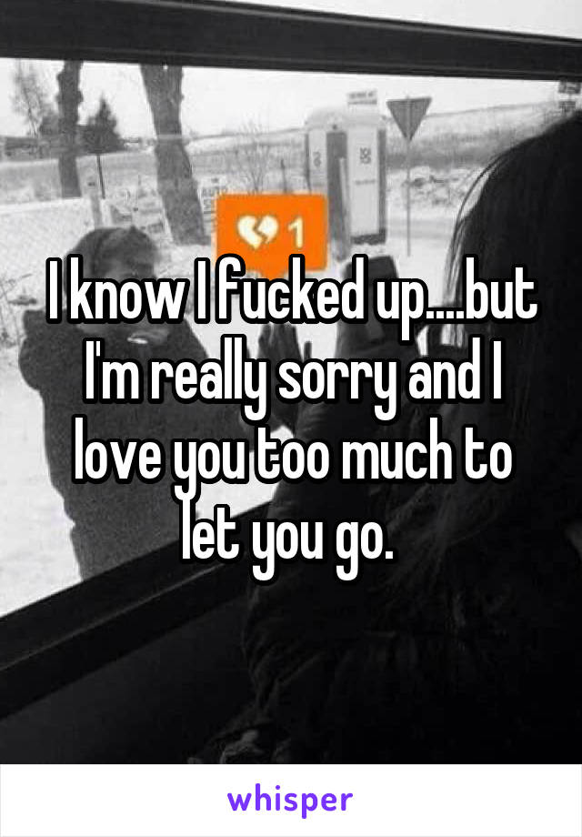 I know I fucked up....but I'm really sorry and I love you too much to let you go. 