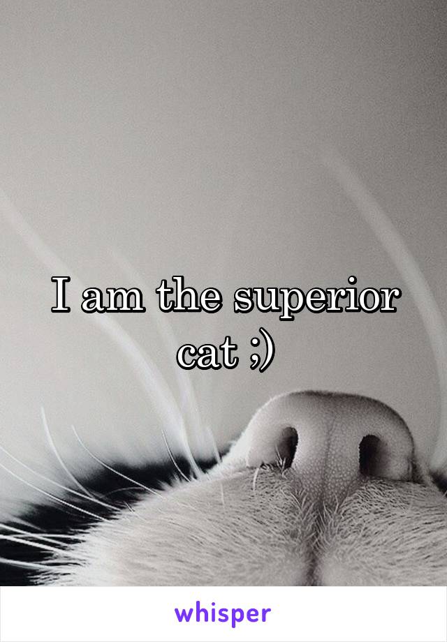 I am the superior cat ;)