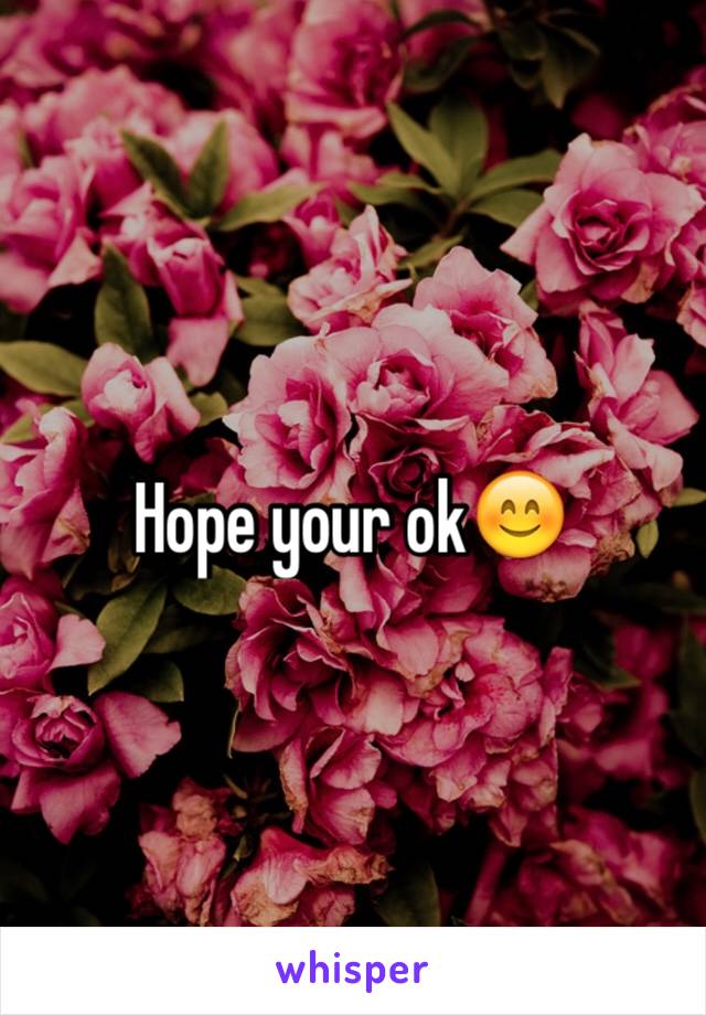Hope your ok😊