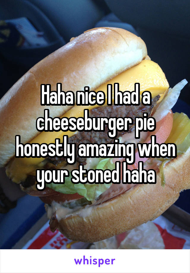 Haha nice I had a cheeseburger pie honestly amazing when your stoned haha