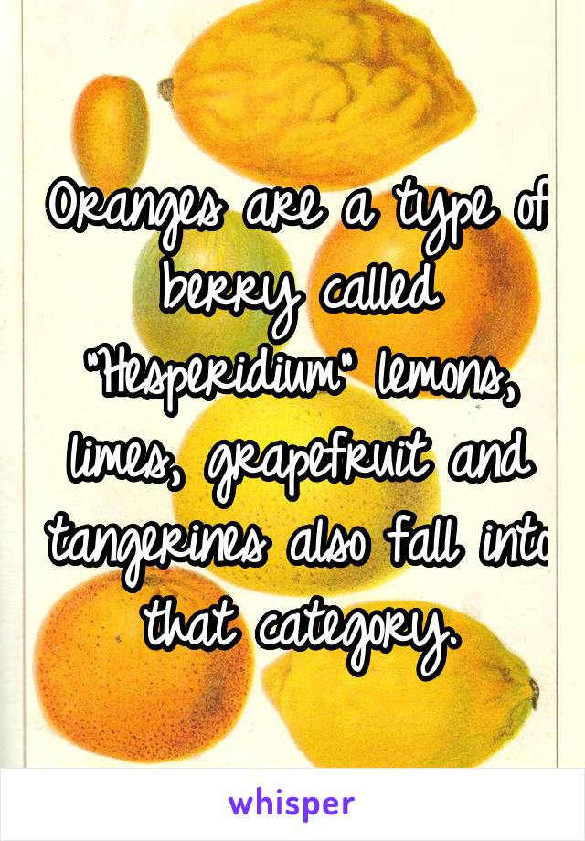Oranges are a type of berry called "Hesperidium" lemons, limes, grapefruit and tangerines also fall into that category.