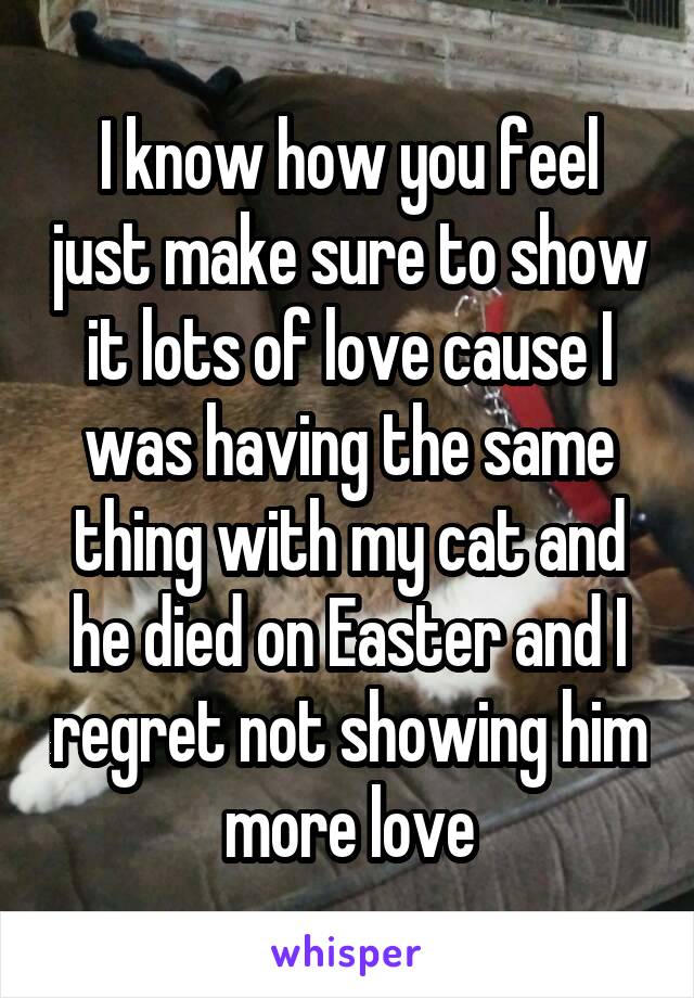 I know how you feel just make sure to show it lots of love cause I was having the same thing with my cat and he died on Easter and I regret not showing him more love