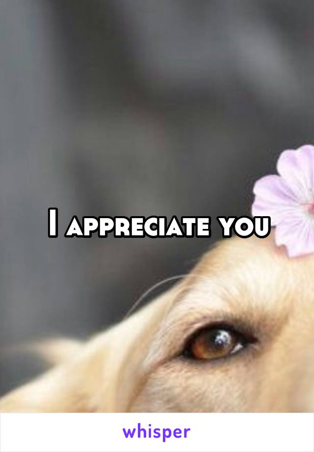 I appreciate you