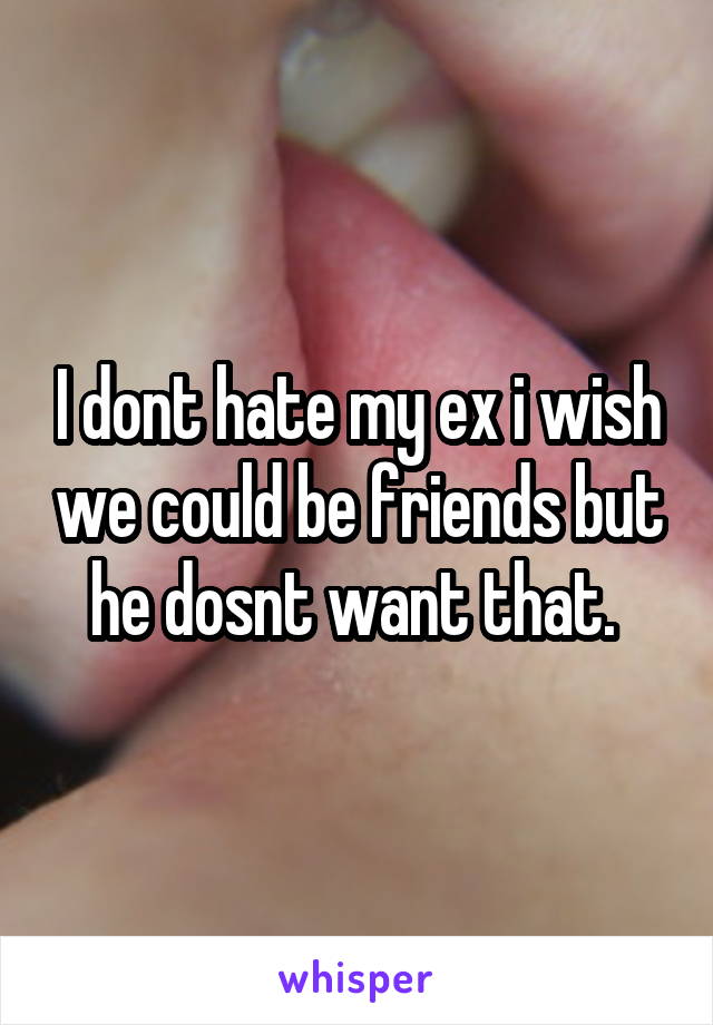 I dont hate my ex i wish we could be friends but he dosnt want that. 