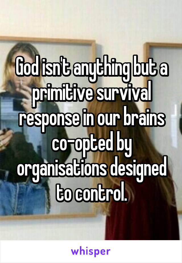 God isn't anything but a primitive survival response in our brains co-opted by organisations designed to control.