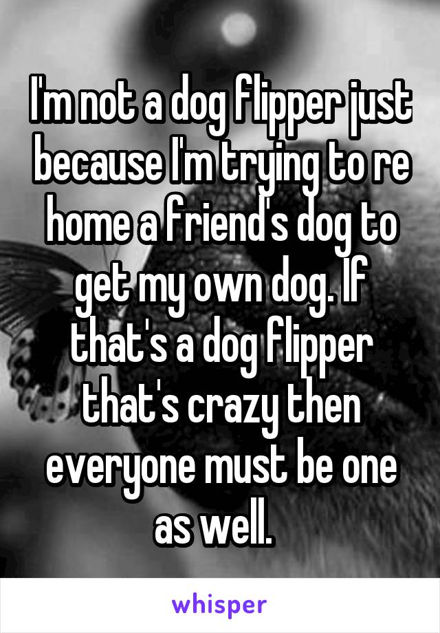 I'm not a dog flipper just because I'm trying to re home a friend's dog to get my own dog. If that's a dog flipper that's crazy then everyone must be one as well.  
