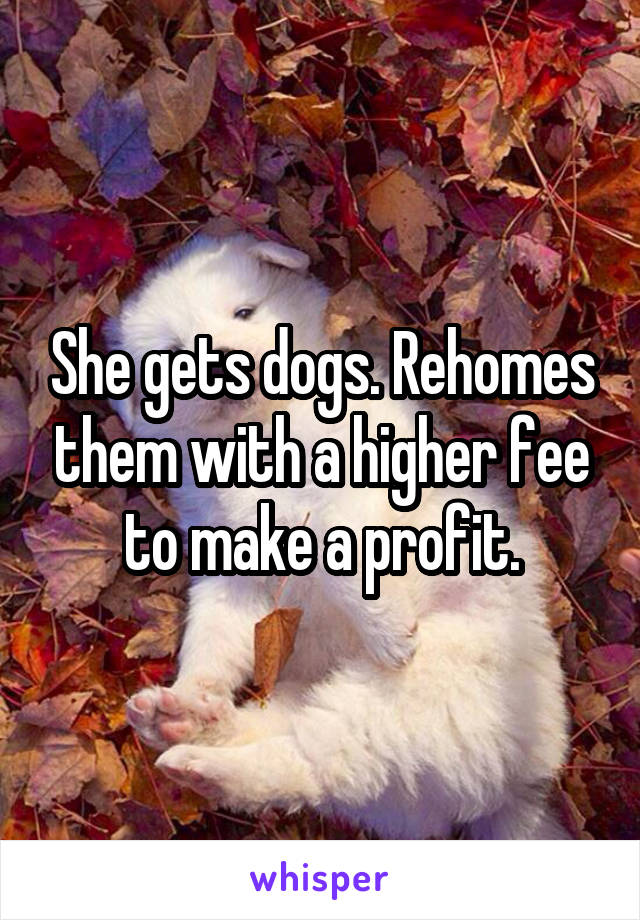 She gets dogs. Rehomes them with a higher fee to make a profit.