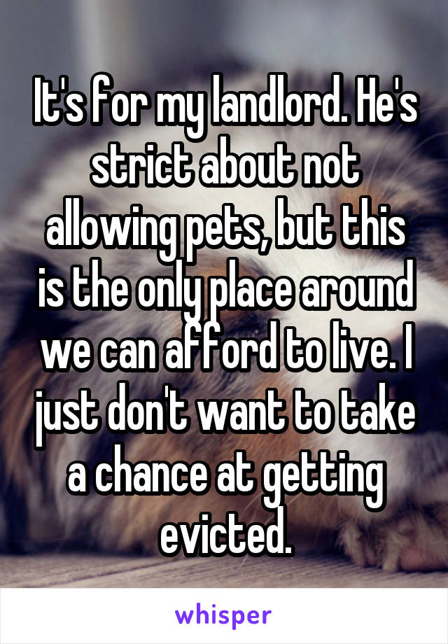 It's for my landlord. He's strict about not allowing pets, but this is the only place around we can afford to live. I just don't want to take a chance at getting evicted.