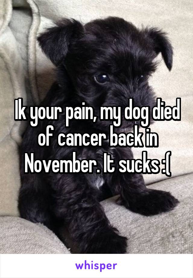 Ik your pain, my dog died of cancer back in November. It sucks :(