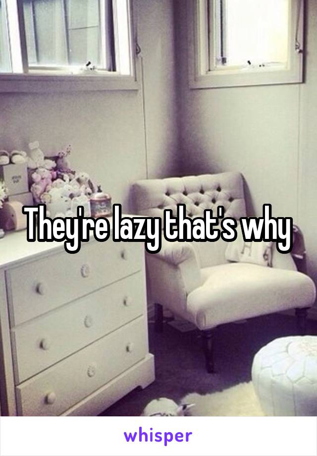 They're lazy that's why 