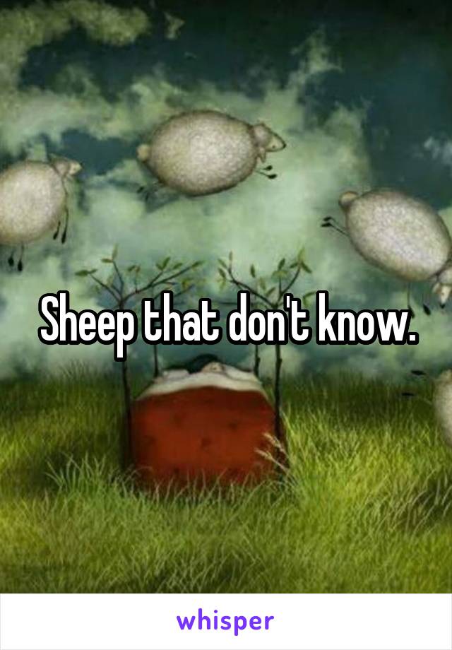 Sheep that don't know.