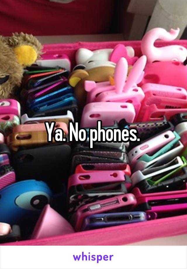 Ya. No phones. 