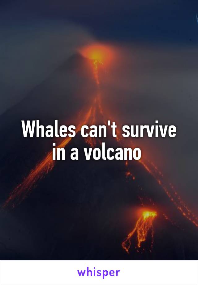 Whales can't survive in a volcano 