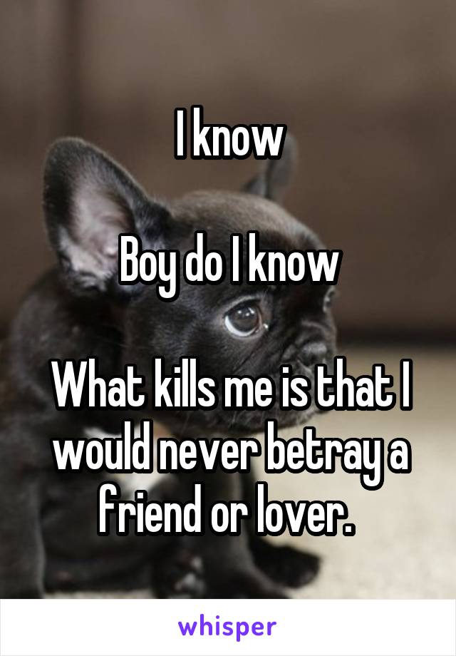 I know

Boy do I know

What kills me is that I would never betray a friend or lover. 
