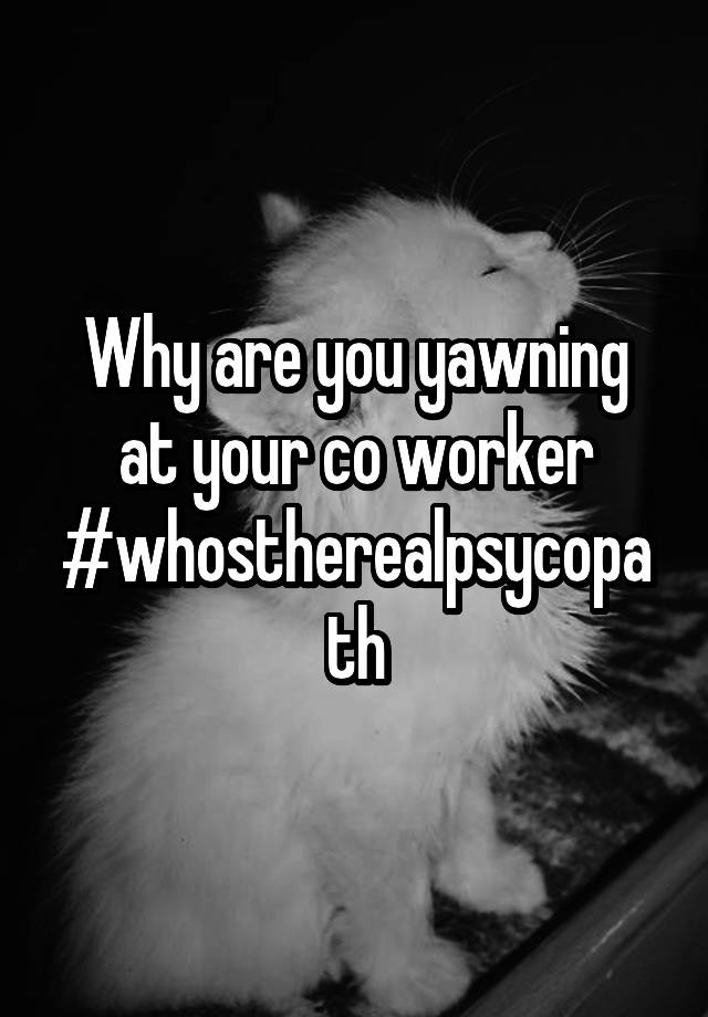 Why Are You Yawning At Your Co Worker Whostherealpsycopath