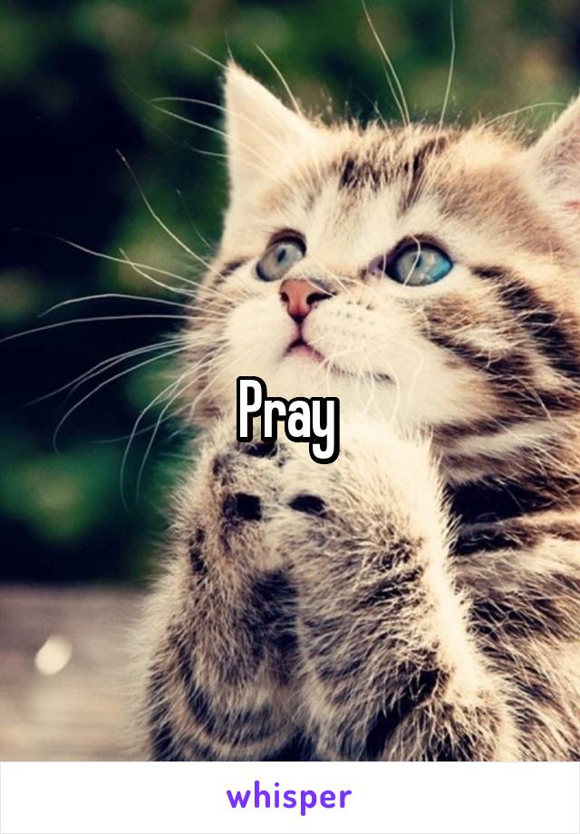 Pray 