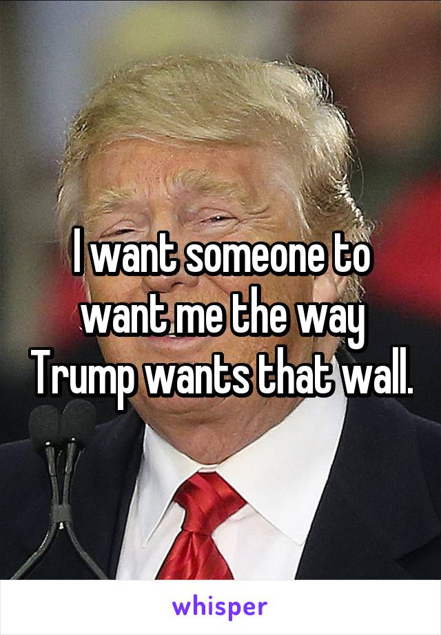 I want someone to want me the way Trump wants that wall.