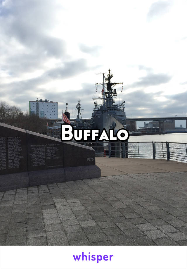 Buffalo