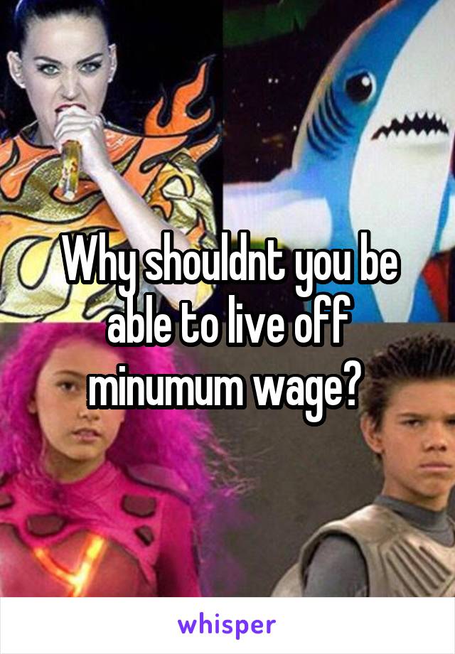 Why shouldnt you be able to live off minumum wage? 