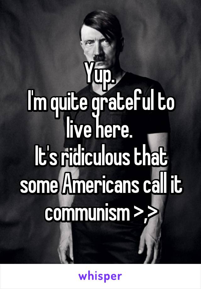 Yup. 
I'm quite grateful to live here. 
It's ridiculous that some Americans call it communism >,>