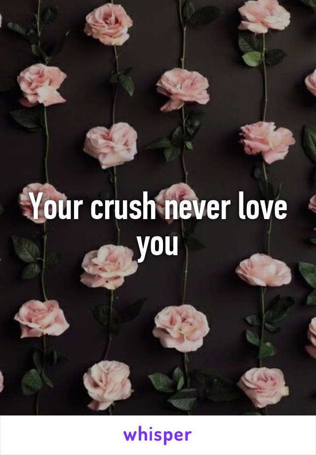 Your crush never love you