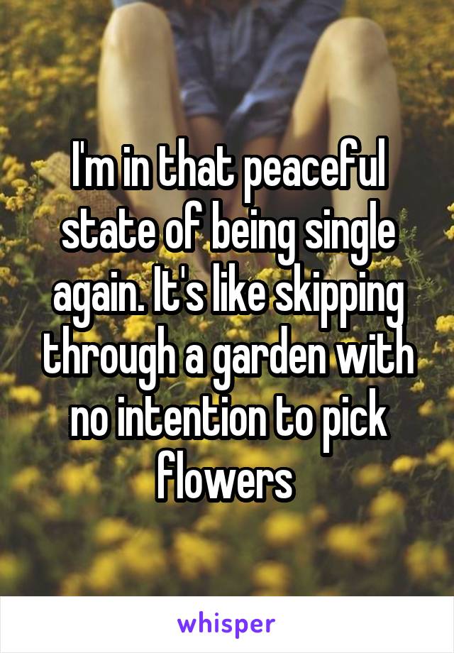 I'm in that peaceful state of being single again. It's like skipping through a garden with no intention to pick flowers 
