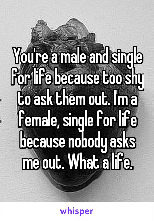 You're a male and single for life because too shy to ask them out. I'm a female, single for life because nobody asks me out. What a life.