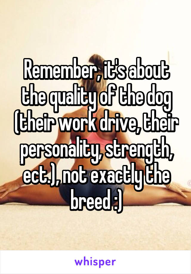 Remember, it's about the quality of the dog (their work drive, their personality, strength, ect.), not exactly the breed :)