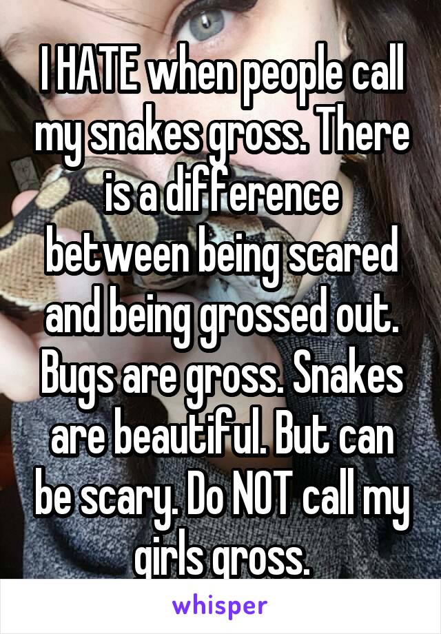 I HATE when people call my snakes gross. There is a difference between being scared and being grossed out. Bugs are gross. Snakes are beautiful. But can be scary. Do NOT call my girls gross.