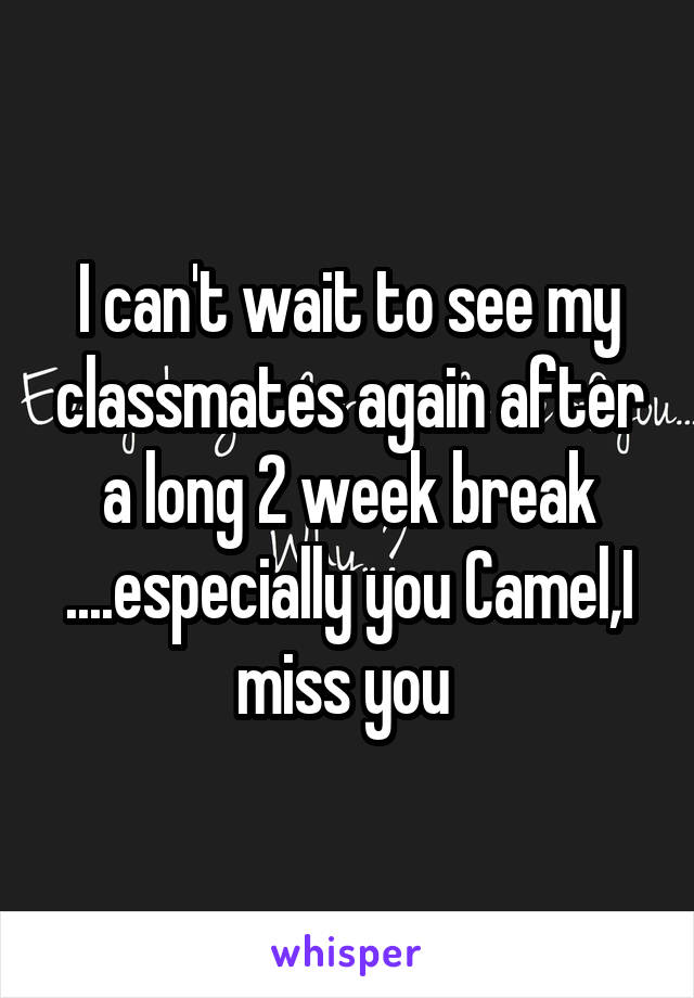I can't wait to see my classmates again after a long 2 week break ....especially you Camel,I miss you 