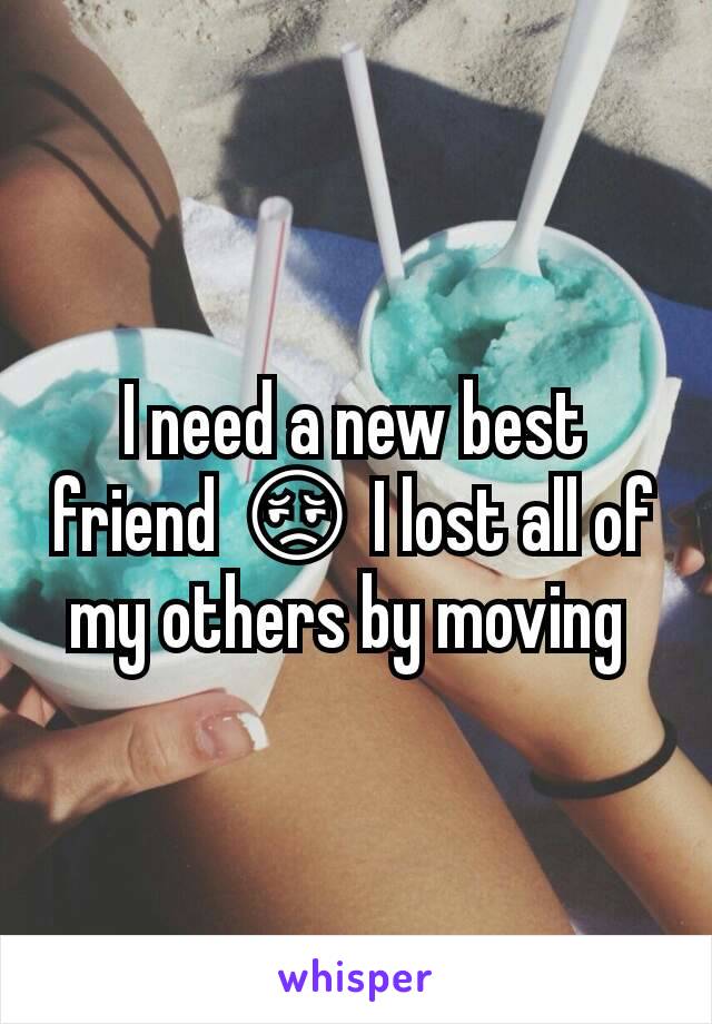 I need a new best friend 😔 I lost all of my others by moving 