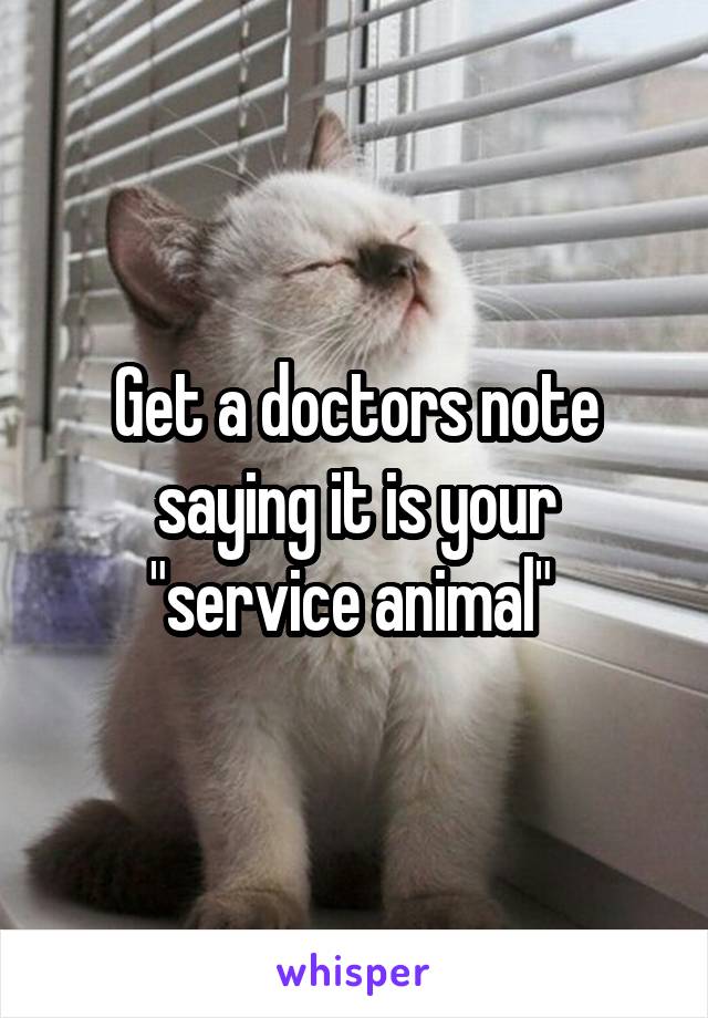 Get a doctors note saying it is your "service animal" 