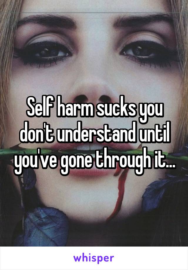 Self harm sucks you don't understand until you've gone through it...