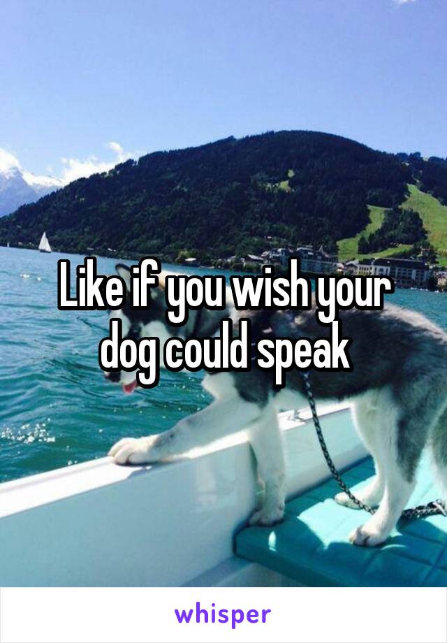 Like if you wish your dog could speak