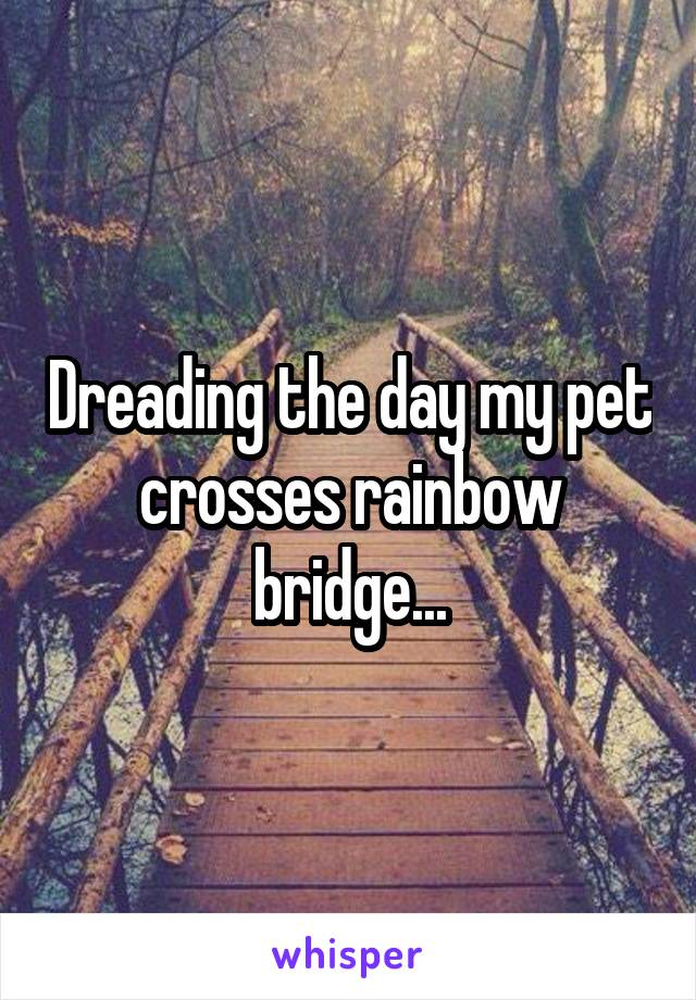 Dreading the day my pet crosses rainbow bridge...