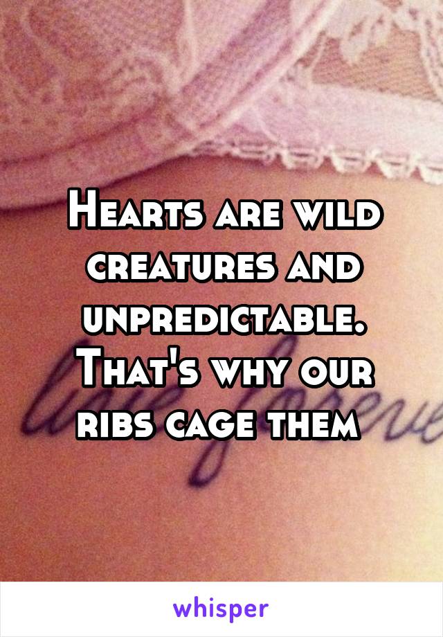 Hearts are wild creatures and unpredictable. That's why our ribs cage them 