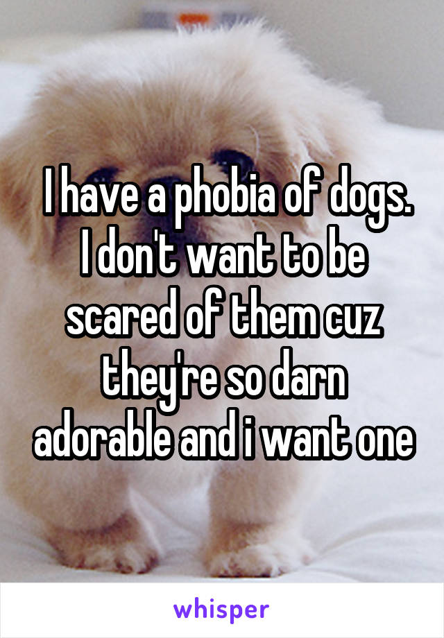  I have a phobia of dogs. I don't want to be scared of them cuz they're so darn adorable and i want one