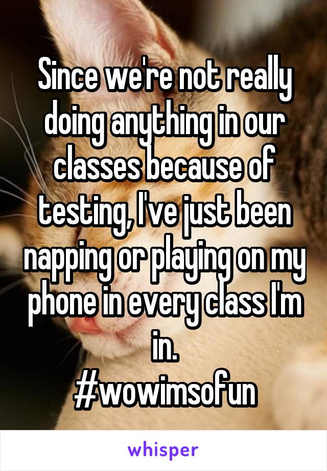 Since we're not really doing anything in our classes because of testing, I've just been napping or playing on my phone in every class I'm in.
#wowimsofun
