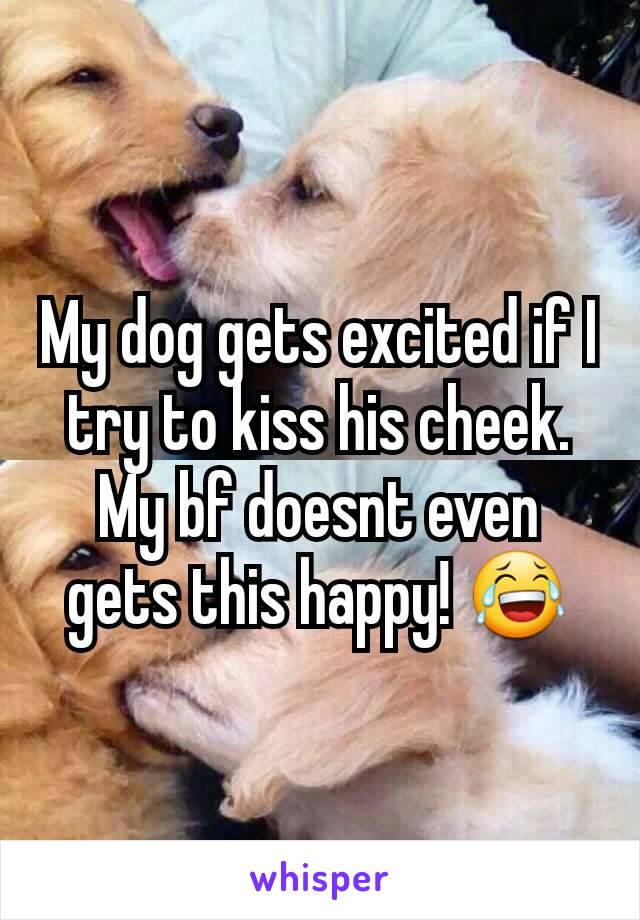 My dog gets excited if I try to kiss his cheek. My bf doesnt even gets this happy! 😂