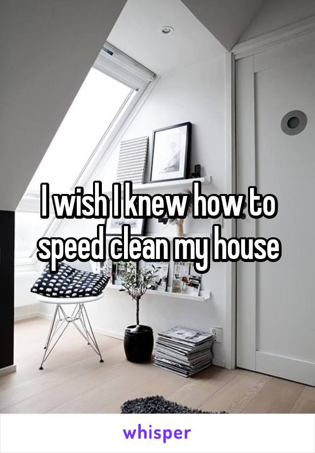 I wish I knew how to speed clean my house