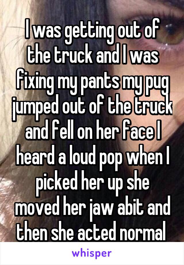 I was getting out of the truck and I was fixing my pants my pug jumped out of the truck and fell on her face I heard a loud pop when I picked her up she moved her jaw abit and then she acted normal 