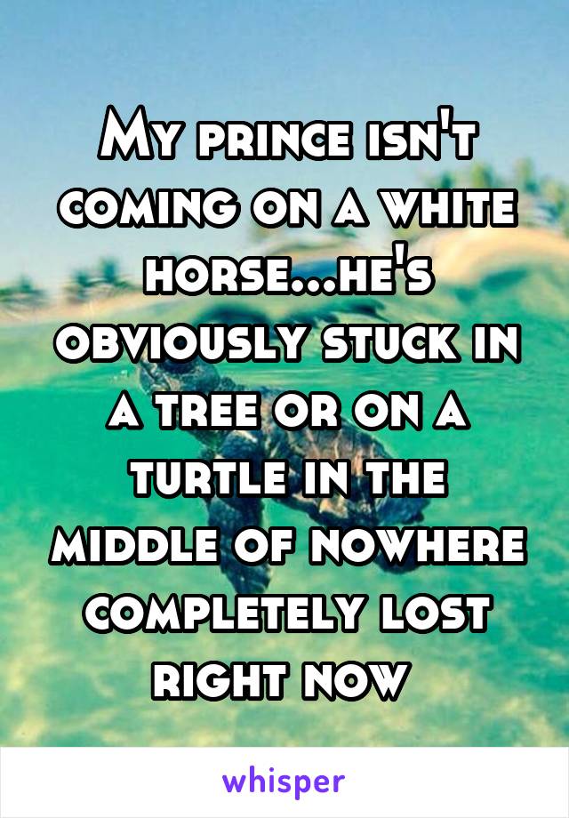 My prince isn't coming on a white horse...he's obviously stuck in a tree or on a turtle in the middle of nowhere completely lost right now 