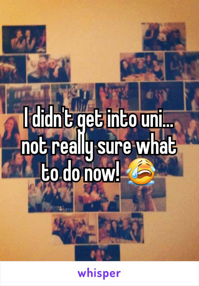 I didn't get into uni... not really sure what to do now! 😭