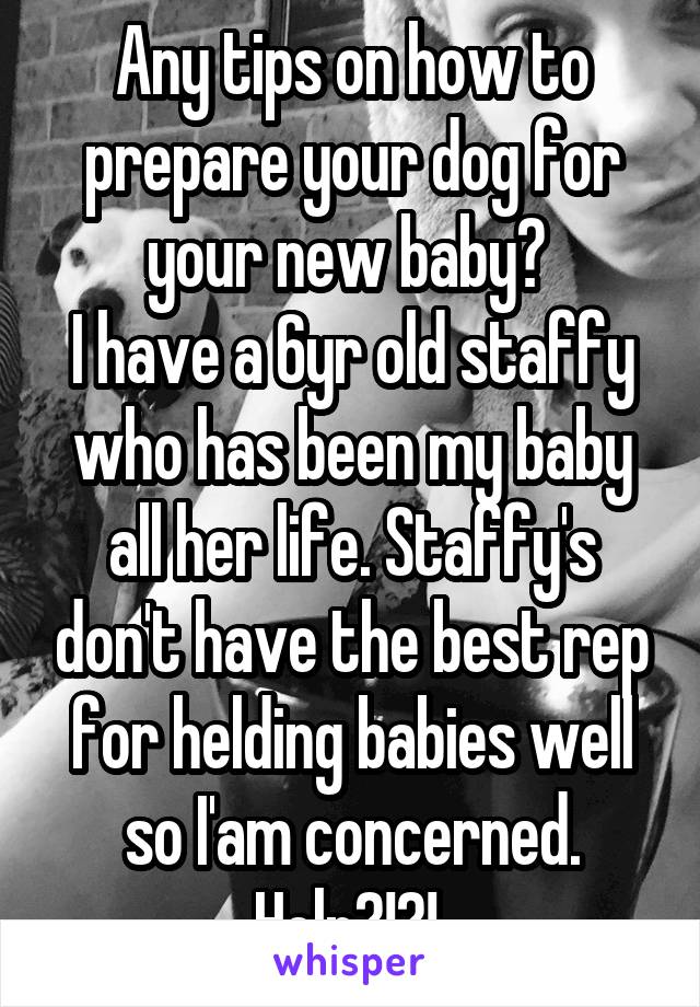 Any tips on how to prepare your dog for your new baby? 
I have a 6yr old staffy who has been my baby all her life. Staffy's don't have the best rep for helding babies well so I'am concerned. Help?!?! 