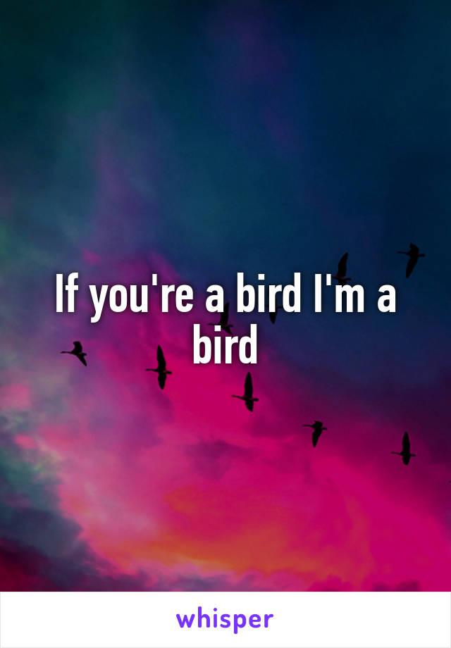If you're a bird I'm a bird