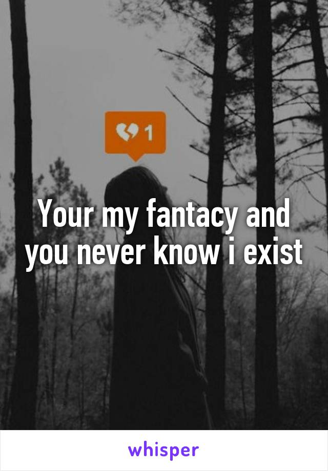 Your my fantacy and you never know i exist