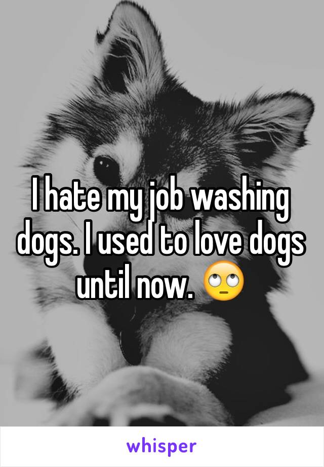 I hate my job washing dogs. I used to love dogs until now. 🙄