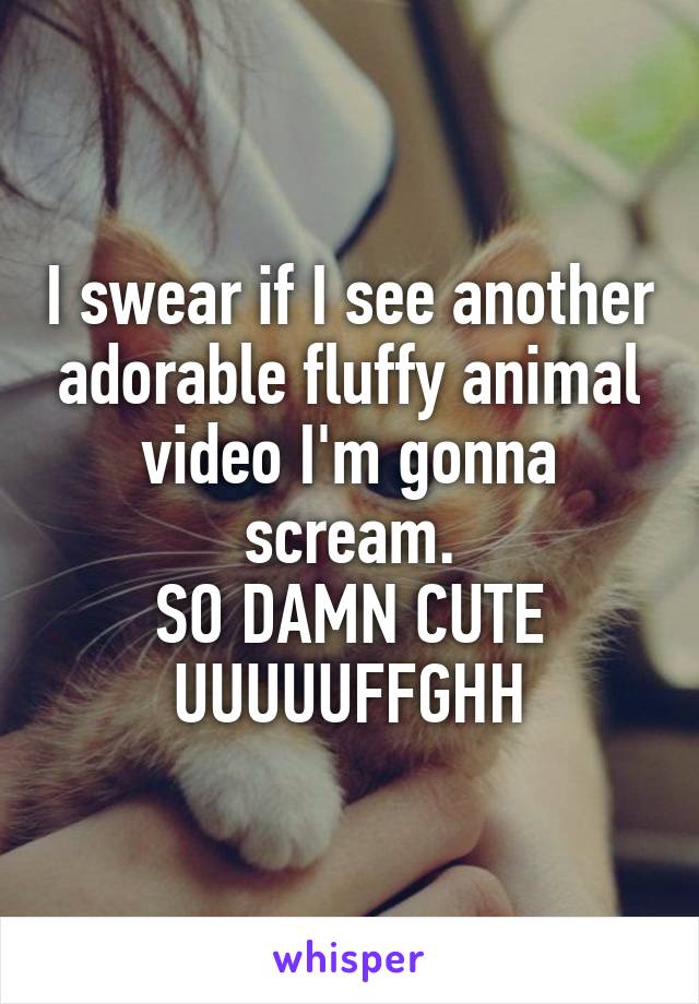 I swear if I see another adorable fluffy animal video I'm gonna scream.
SO DAMN CUTE UUUUUFFGHH